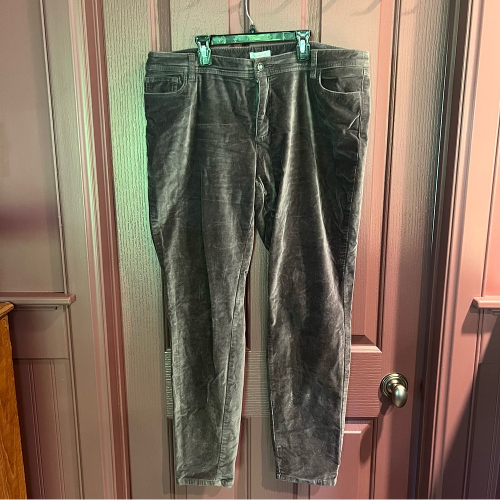 Garnet Hill Women's Straight Leg Velvet Pants
